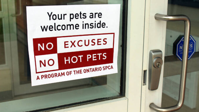 No Hot Pets Campaign Brockville 02 Jul0517 Edited